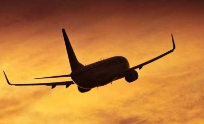 Летевший в Стамбул самолет вернулся в Москву из-за пожара на борту